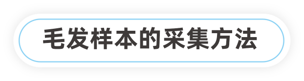 毛发样本的采集方法